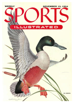 41493 - Cover Image